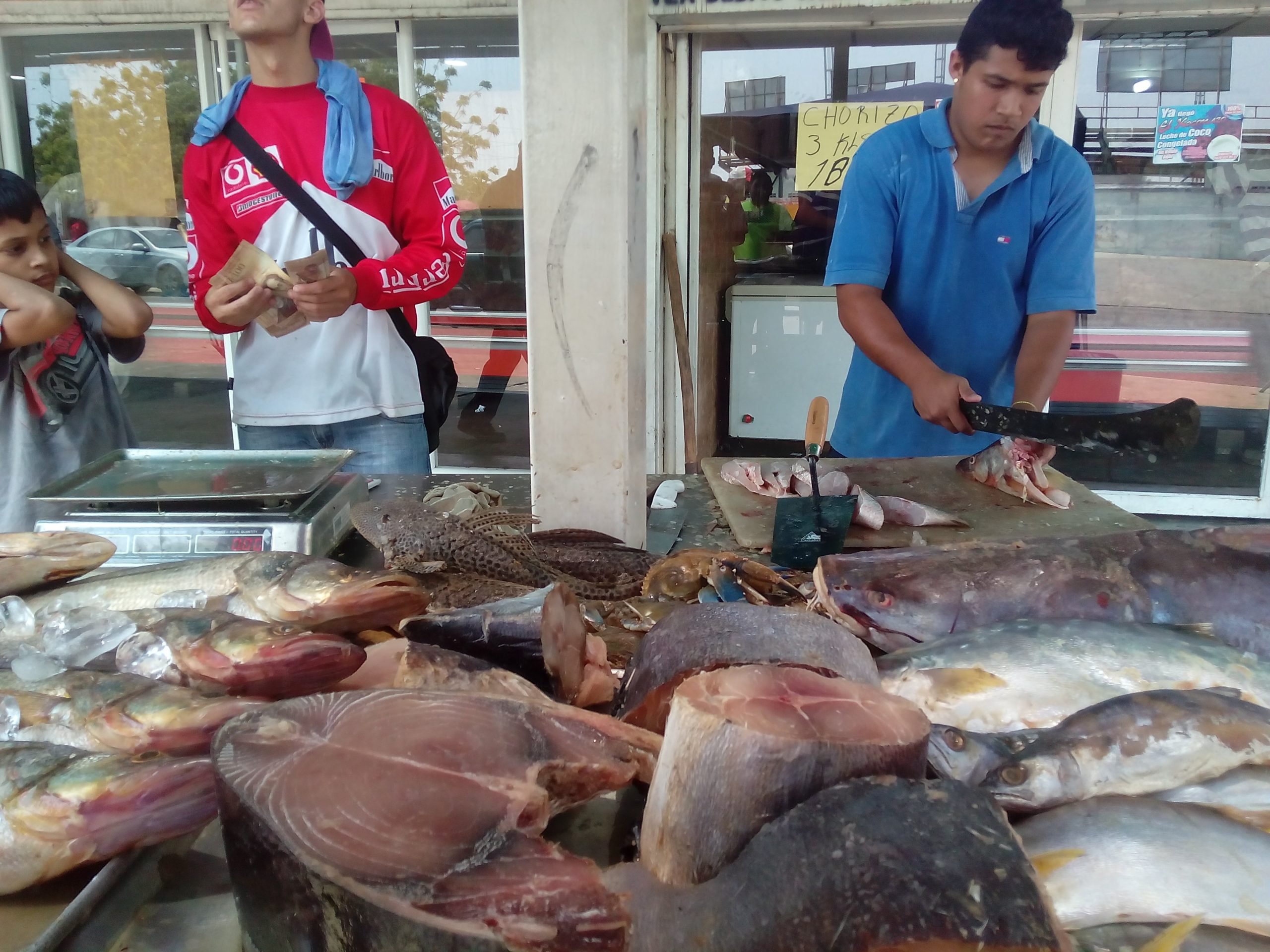 El pescado se está esfumando de nuestras mesas